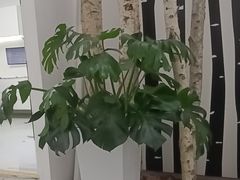 -极简口腔(总院)