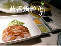 -韵秋荷(宝山龙湖天街店)