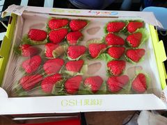 -果蔬好生活超市(乐堤港店)
