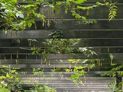-九龙潭景区
