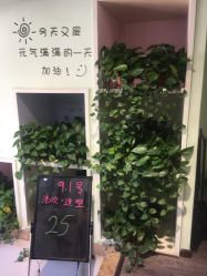 -初心HAlRSALON烫染接发