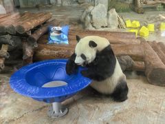 -海南热带野生动植物园