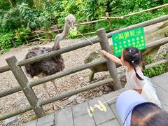 -贵州森林野生动物园
