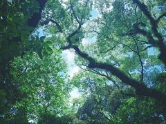 -热田神宫