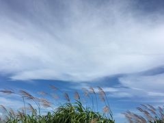 -东极岛景区