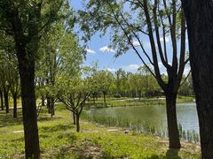 -东郊湿地公园