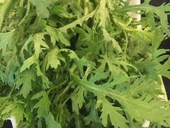 -蝎王府羊蝎子(西直门店)