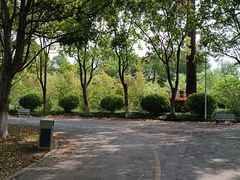 -上海鲜花港