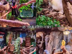 -正佳雨林生态植物园