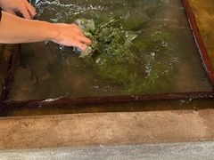 -大象粑粑造纸公园
