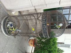 android_upload_pic-老味道民宿(栈桥店)