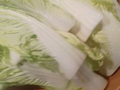娃娃菜-龍歌自助小火锅(市北和达中心城店)