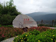 -铁山坪森林公园