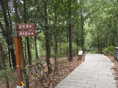 -中山市树木园