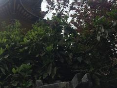 仰望-黄山温泉国际旅游度假区