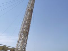 门面-沈阳植物园