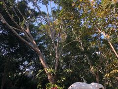 -野象谷景区
