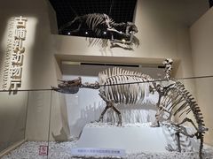 -国家自然博物馆