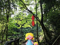 -石台牯牛降景区