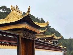 -四川郎木寺镇
