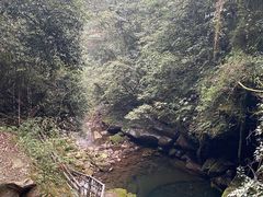 -碧峰峡风景区