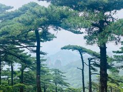 -黄山风景区
