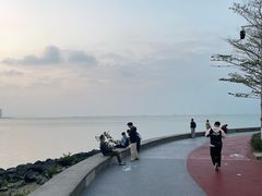-万绿园