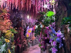 -正佳雨林生态植物园