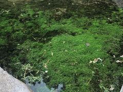 -碓臼峪自然风景区