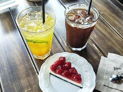 -新沙洞咖啡(泉乐坊店)