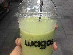 -Wagas沃歌斯(大学路店)