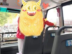 -BUS TOUR观光巴士