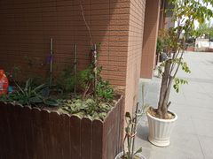 -复星星堡社区(中环二期店)