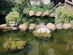 -凤凰山斑鱼馆(恭城店)