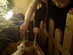 -藦茜花园宠物主题亲子互动体验馆(国顺东路店)