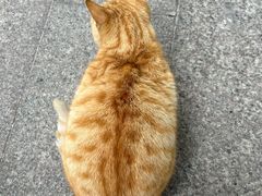 -福州开元寺