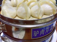驴肉大葱蒸饺-王记驴火河间驴肉火烧(长青店)