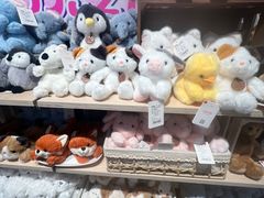 -凯德MALL(望京店)