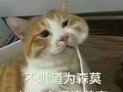 -杯欢制茶(三里屯店)