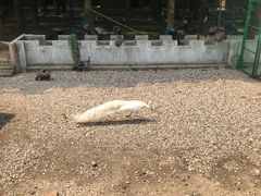 -南京金牛湖风景区