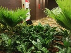 -圣淘沙名胜世界
