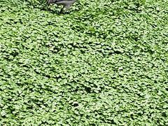 -泉州海丝野生动物世界