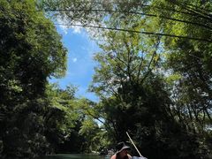 -九曲溪竹筏码头