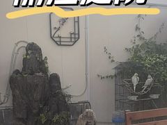 -丽江庭院之爱在路上(西单店)