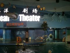 -苏州海洋馆