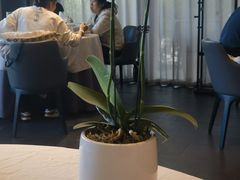 -蘇锦宴·淮扬菜烤鸭·小院(三元桥霄云路店)