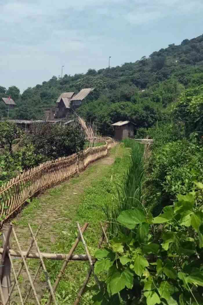 踏青农庄-"相比于十八湾,踏青农庄算是一个冷门春游景.