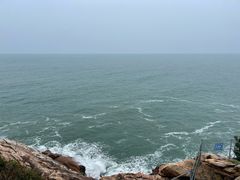 -广东惠东海龟国家级自然保护区