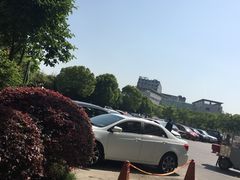 -上海中医药大学附属曙光医院(东部)