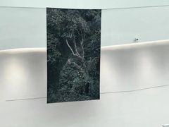 -中国湿地博物馆
